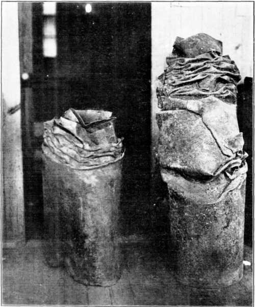 Plate XXIX, Fig. 1. Plate XXIX, Fig. 1.