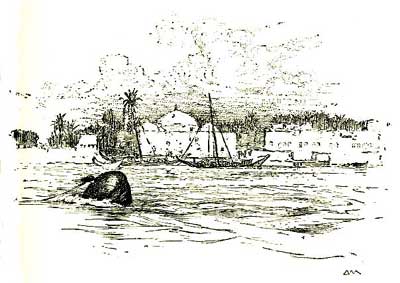 Chapter Header. Chapter Header.