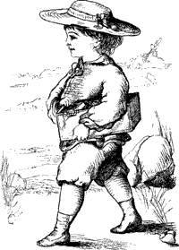 Neddy's Sand-Bank Neddy's Sand-Bank