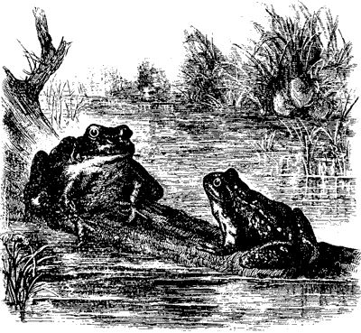 A Funny Fact Pic 2 A Funny Fact Pic 2