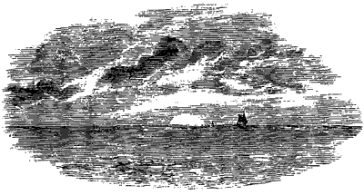 Letter from California Pic 2 Letter from California Pic 2