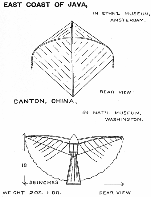 Fig. 7. Oriental tailless Kites Fig. 7