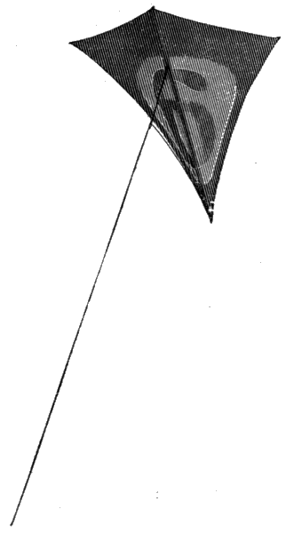 Fig. 8. Eddy tailless Kite Fig. 8